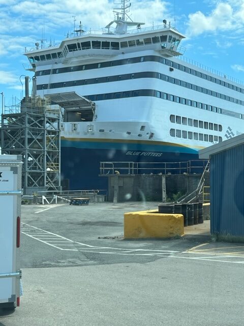 A docked cruise ship